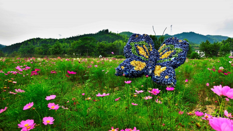 仙源四季花海园